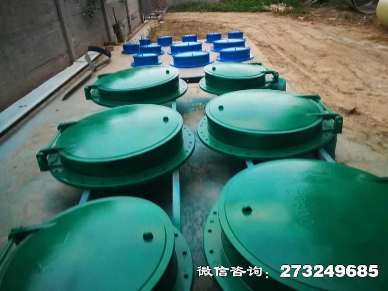 武鸣县市政管道口玻璃钢拍门