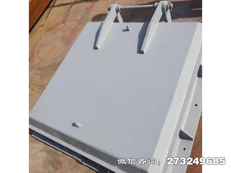 定安铸铁方形拍门