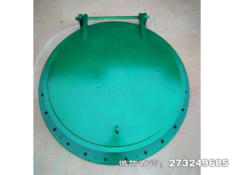 定安80圆复合材料拍门