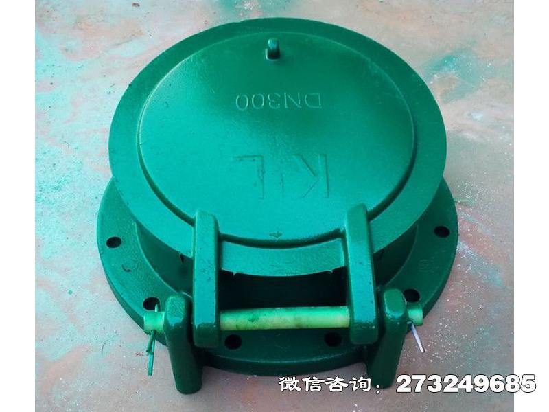 定安dn300复合材料拍门