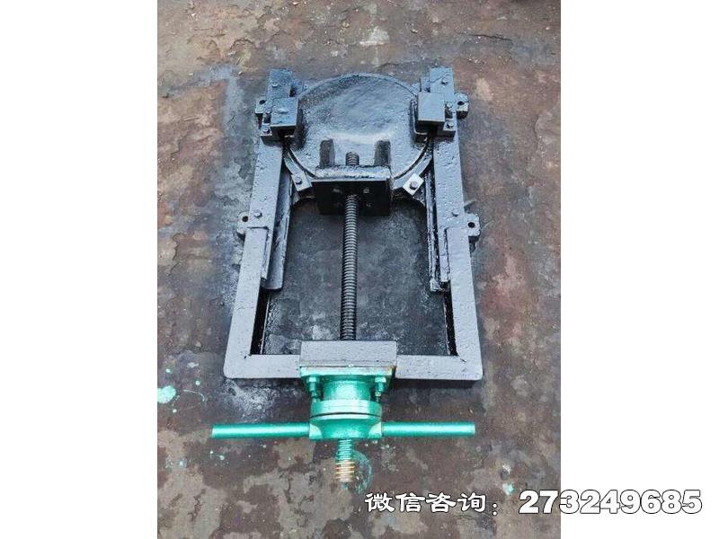 独山县启闭机闸门一体机