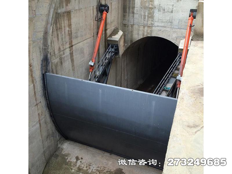 大兴弧形水库闸门